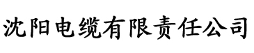 芭乐视视频污污污电缆厂logo